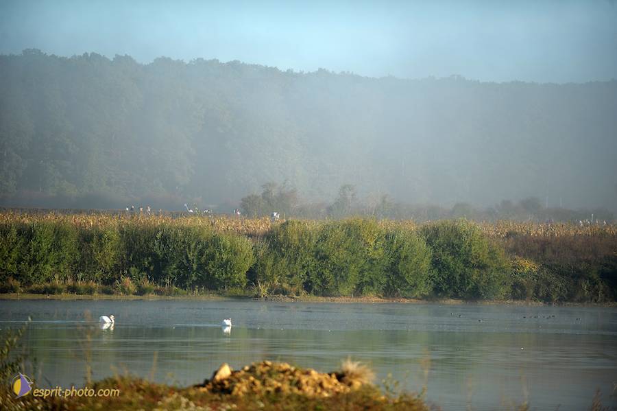 Nom de l'image : D30082982_1_(c)Norbert-JUNG — Description :